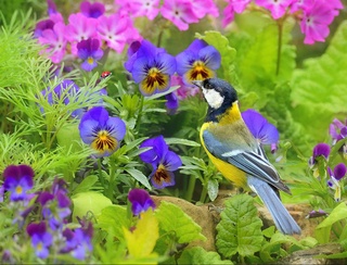 Пешгӯии обу ҳаво барои 6 май