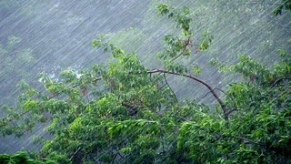 Ўзбекистон ҳудудига совуқ ҳаво массаси кириб келди