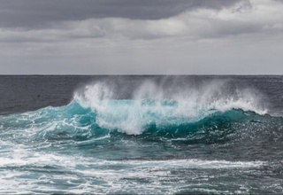 Олимлар океанларнинг кескин исишидан хавотирга тушмоқда. Нега?