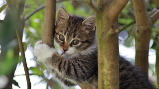 Погода на выходные: в воскресенье пройдут дожди