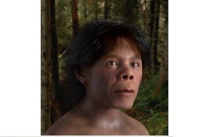 Тешик-Тош ғоридан топилган неандертал боласи кўриниши намойиш этилди