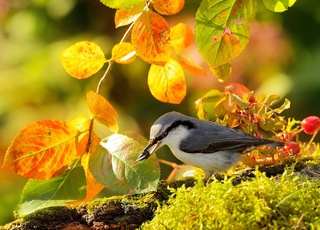 Прогноз погоды на день 11 октября