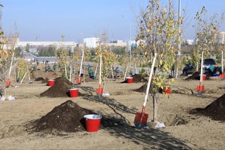 Мениң бағым