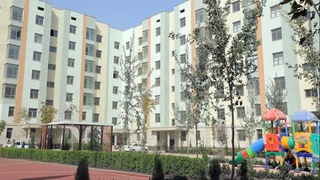 Массивы Янги Узбекистон - символ созидания и развития