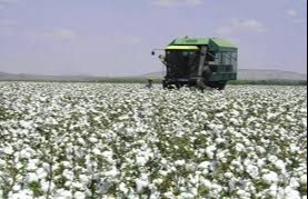 Сўз ва иш бирлиги Президент сиёсатининг устувор йўналиши