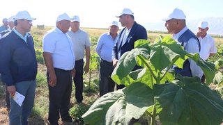 Навоийские ученые провели выездной семинар