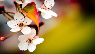 20 март кунги об-ҳаво маълумоти эълон қилинди