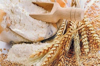 В Кыргызстане введен запрет на экспорт муки и пшеницы