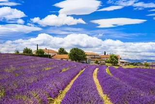 Кўҳна тарих, салда кўли ва лаванда далалари маскани