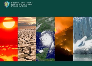 Каковы задачи Климатического совета при Президенте Республики Узбекистан?