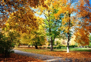 Пешгӯии обу ҳаво барои 23 сентябр