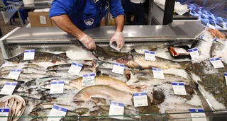 Хитойда музлатилган балиқ ўрамидан тирик COVID-19 топилди