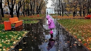 Ёғин-сочинли дам олиш кунлари яқинлашяпти