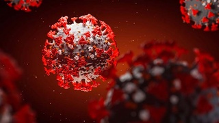 В организме человека могут "уживаться" сотни вариантов коронавируса