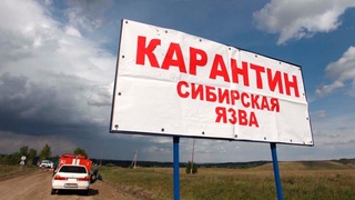 Ўзбекистонда куйдирги касаллигининг тарқалишини олдини олиш бўйича қандай чора-тадбирлар кўрилмоқда?