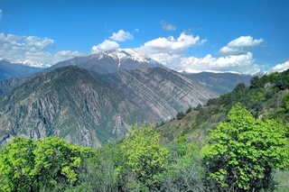 Эртага ҳаво ҳарорати нисбатан кўтарилади