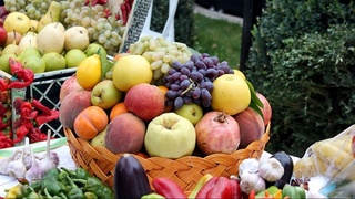 Листья фруктовых деревьев экспортируют в Германию