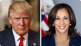 Жители Диксвилл-Нотч первыми проголосовали на президентских выборах в США: у Трампа и Харрис ничья