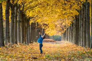 Прогноз погоды на день 2 ноября