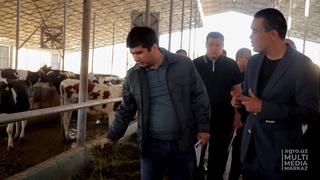 Министр сельского хозяйства провел встречу с животноводами Ферганской области