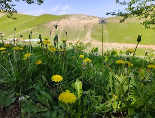 Прогноз погоды на день 26 апреля