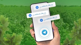 Пахта нархи туширилиш сабаблари маълум қилинди