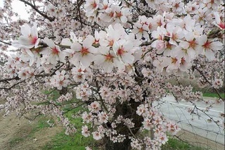 Бул бәҳәрди умытып болмас...