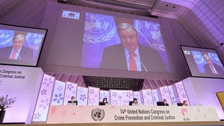 Интернетда одамларни фирибгарлик ва ҳақоратлардан ҳуқуқий ҳимоя қилиш механизмларини яратиш вақти келди