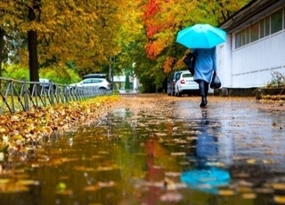 20 ноябрь  күнгі  ауа райы болжамы жарияланды