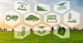 Қишлоқ хўжалиги соҳасидаги ёш олимларнинг онлайн илмий-амалий конференция ўтказилди