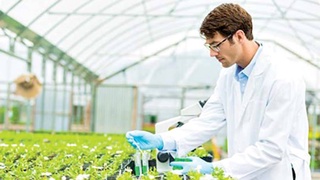 Предприятия SPIN-OFF: В производстве наукоемкой продукции будут участвовать и студенты