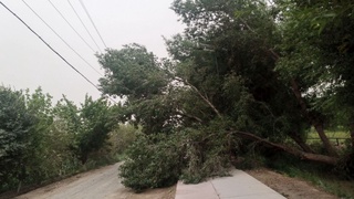Хоразмда кучли шамол сабаб бир неча туманлар "свет"сиз қолди