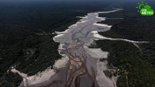 Амазонка дарёсида сув сатҳи кескин пасайиб кетди, кучли қурғоқчилик кузатилмоқда