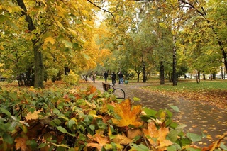 Weather forecast for November 20th