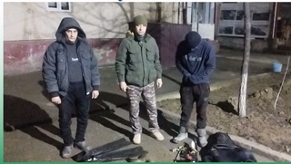 4 дона ноқонуний овланган балиқ қимматга тушди