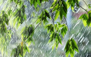 Узгидромет опубликовал экстренное сообщение: 24-25 апреля ожидаются сильные дожди и грозы