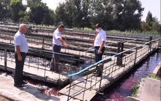 Вода в реке Чирчик окрасилась в красный цвет