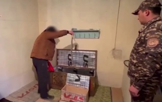 Bogʻcha bolalariga tomoshada koʻrsatilgan zaharli kobralar olib qoʻyildi