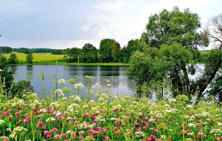 Weather forecast for August 14th