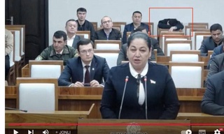 Сенат ялпи мажлисида ким ухлаб қолди?