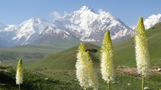 Мамлакатимизга қуруқ ва жуда илиқ ҳаво кириб келмоқда