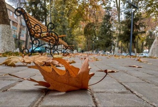 Weather forecast for September 22nd