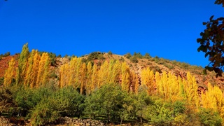 Дaм олиш кунлaри юртимизда қуруқ ва иссиқ ҳарорат кузатилади