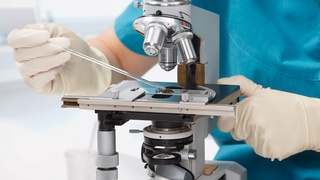 Омикроннинг антитаначаларни четлаб ўтиши сабаблари маълум бўлди