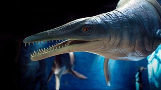 Amerikalik olimlar mozazavrning yangi turini topishdi