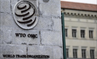 Послание Президента и путь Узбекистана к членству во Всемирной торговой организации