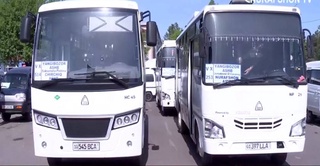 В Ташкентской области запущено два новых автобусных маршрута