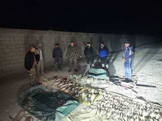 Навоийда электр токи билан балқ овлаган шахслар жавобгарликка тортилди