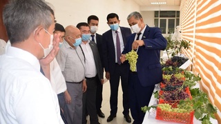 Обсуждены вопросы развития виноградарства