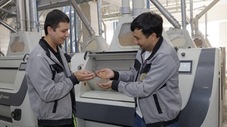 От выращивания зерна до готовой продукции: рыночные механизмы в действии